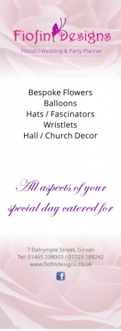 roller-banner-fiofin-sml